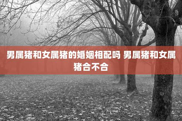 男属猪和女属猪的婚姻相配吗 男属猪和女属猪合不合