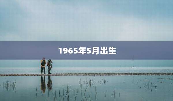 1965年5月出生