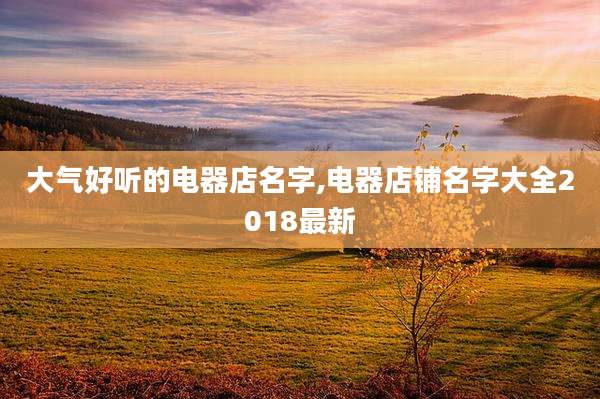 大气好听的电器店名字,电器店铺名字大全2018最新