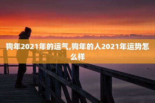 狗年2021年的运气,狗年的人2021年运势怎么样