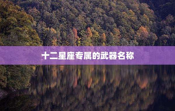 十二星座专属的武器名称