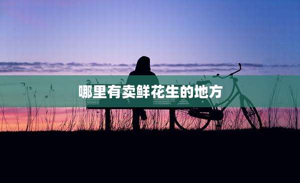 哪里有卖鲜花生的地方