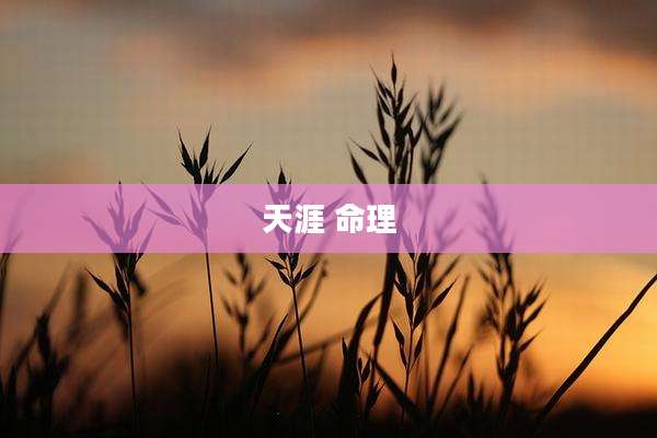 天涯 命理