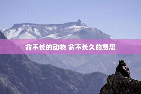命不长的动物 命不长久的意思