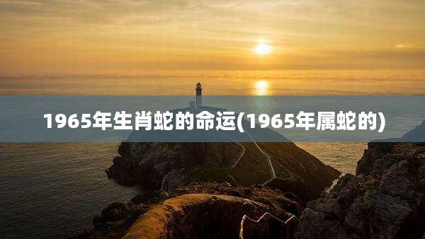 1965年生肖蛇的命运(1965年属蛇的)