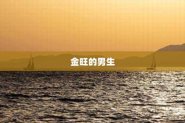 金旺的男生