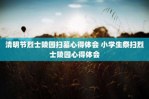 清明节烈士陵园扫墓心得体会 小学生祭扫烈士陵园心得体会