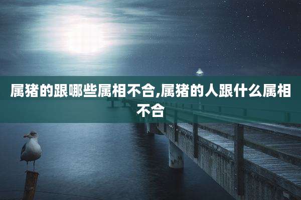 属猪的跟哪些属相不合,属猪的人跟什么属相不合