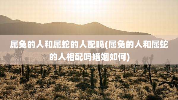 属兔的人和属蛇的人配吗(属兔的人和属蛇的人相配吗婚姻如何)