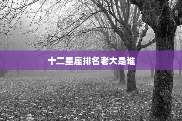 十二星座排名老大是谁