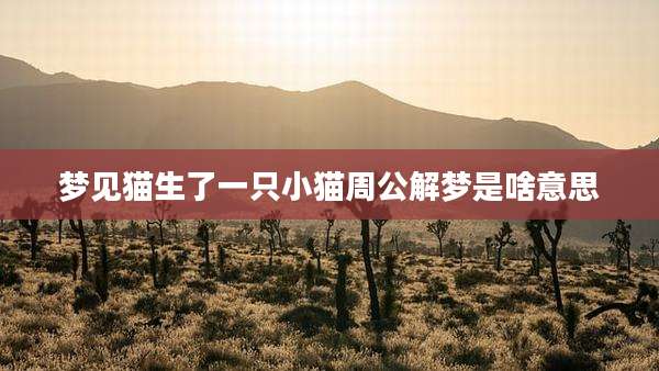 梦见猫生了一只小猫周公解梦是啥意思