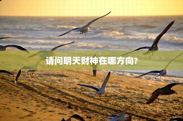 请问明天财神在哪方向?