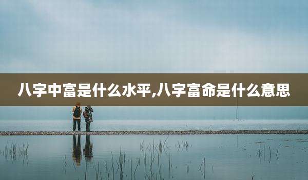 八字中富是什么水平,八字富命是什么意思
