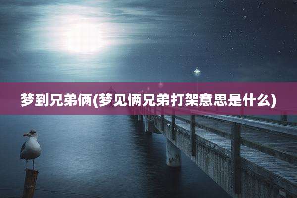 梦到兄弟俩(梦见俩兄弟打架意思是什么)