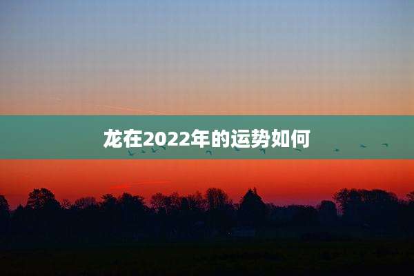龙在2022年的运势如何