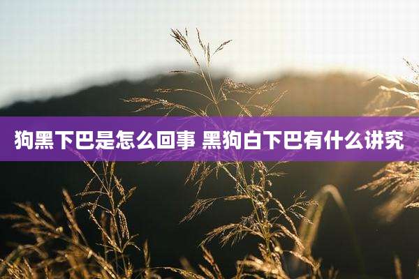 狗黑下巴是怎么回事 黑狗白下巴有什么讲究