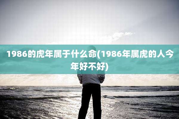 1986的虎年属于什么命(1986年属虎的人今年好不好)