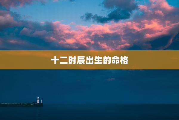 十二时辰出生的命格