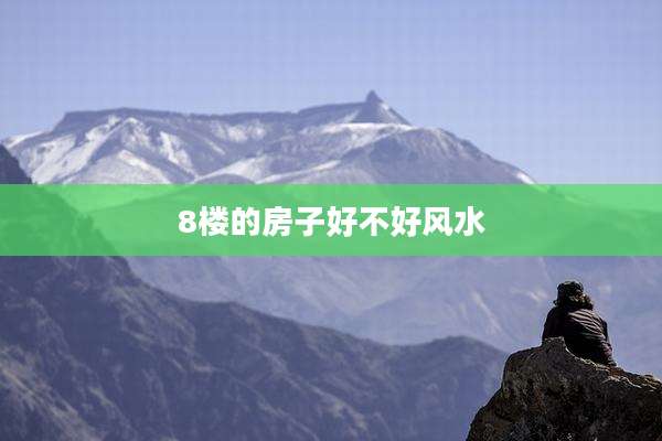 8楼的房子好不好风水