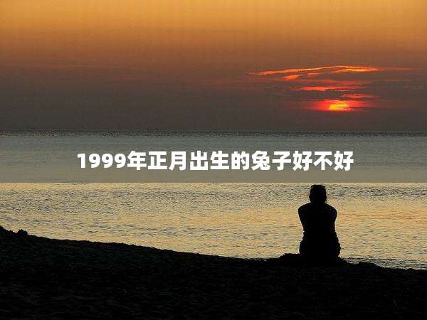 1999年正月出生的兔子好不好