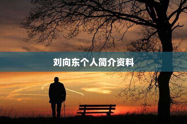 刘向东个人简介资料