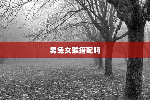 男兔女猴搭配吗
