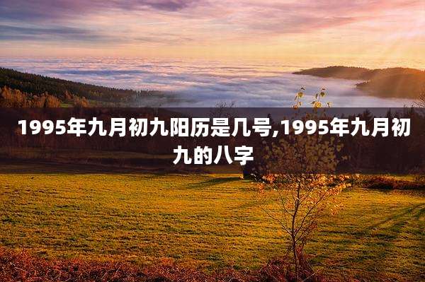 1995年九月初九阳历是几号,1995年九月初九的八字