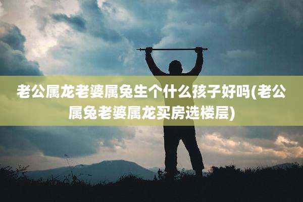 老公属龙老婆属兔生个什么孩子好吗(老公属兔老婆属龙买房选楼层)
