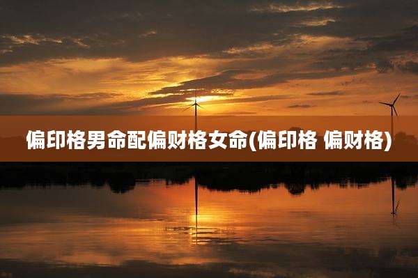 偏印格男命配偏财格女命(偏印格 偏财格)