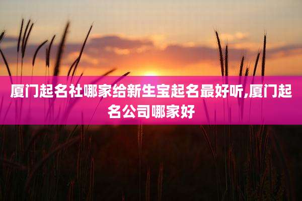 厦门起名社哪家给新生宝起名最好听,厦门起名公司哪家好