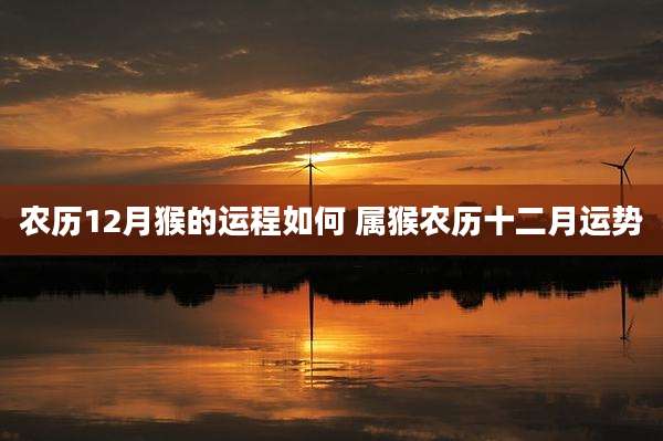 农历12月猴的运程如何 属猴农历十二月运势