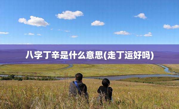 八字丁辛是什么意思(走丁运好吗)