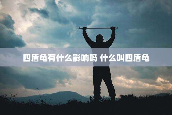 四盾龟有什么影响吗 什么叫四盾龟