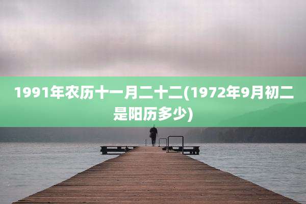 1991年农历十一月二十二(1972年9月初二是阳历多少)
