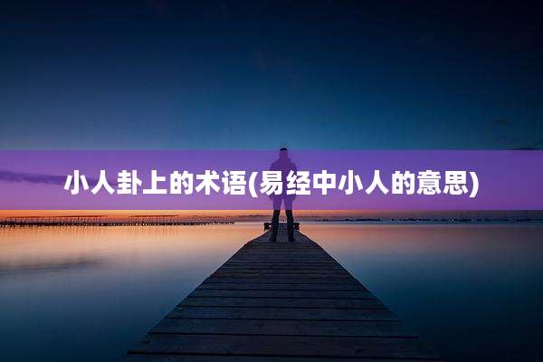 小人卦上的术语(易经中小人的意思)