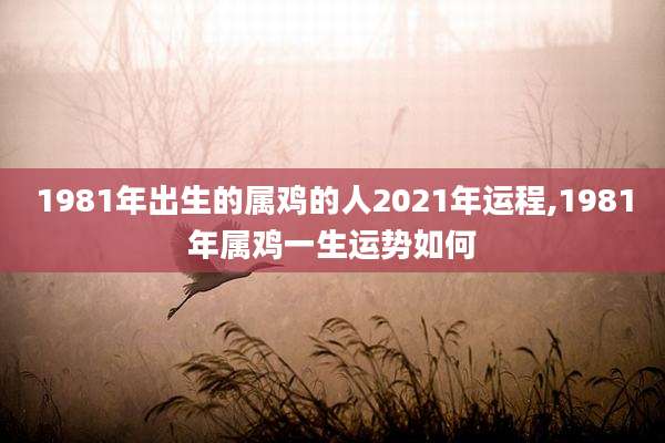 1981年出生的属鸡的人2021年运程,1981年属鸡一生运势如何