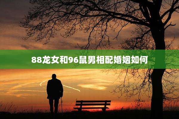 88龙女和96鼠男相配婚姻如何