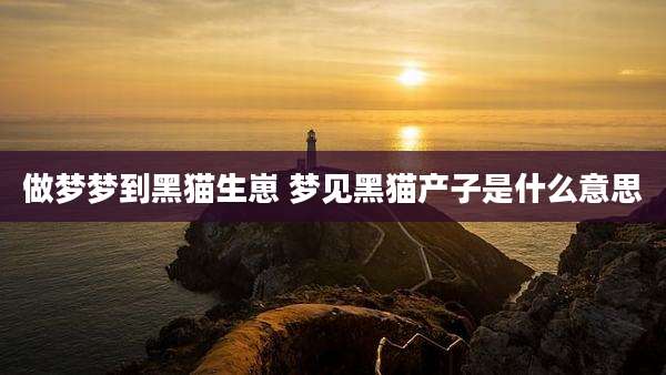做梦梦到黑猫生崽 梦见黑猫产子是什么意思