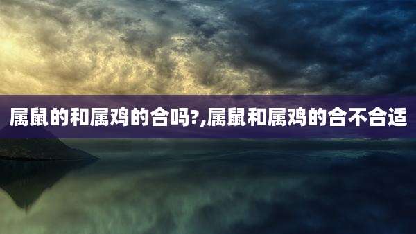 属鼠的和属鸡的合吗?,属鼠和属鸡的合不合适
