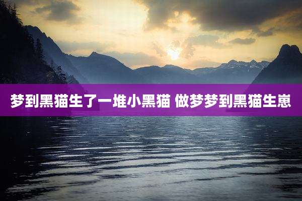 梦到黑猫生了一堆小黑猫 做梦梦到黑猫生崽