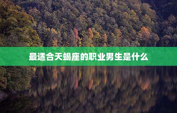 最适合天蝎座的职业男生是什么