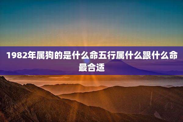1982年属狗的是什么命五行属什么跟什么命最合适