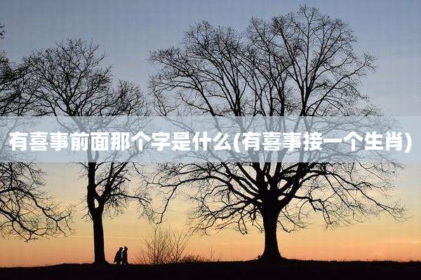 有喜事前面那个字是什么(有喜事接一个生肖)