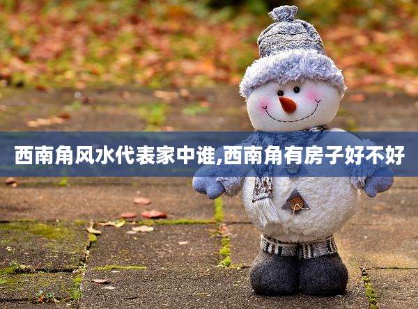 西南角风水代表家中谁,西南角有房子好不好