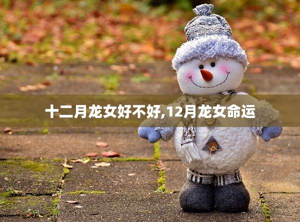 十二月龙女好不好,12月龙女命运
