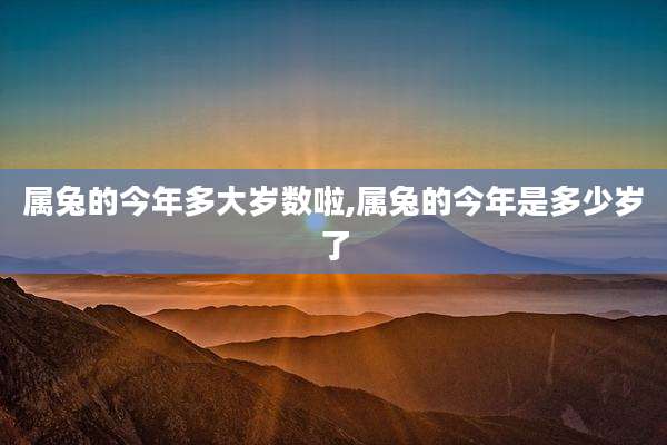 属兔的今年多大岁数啦,属兔的今年是多少岁了