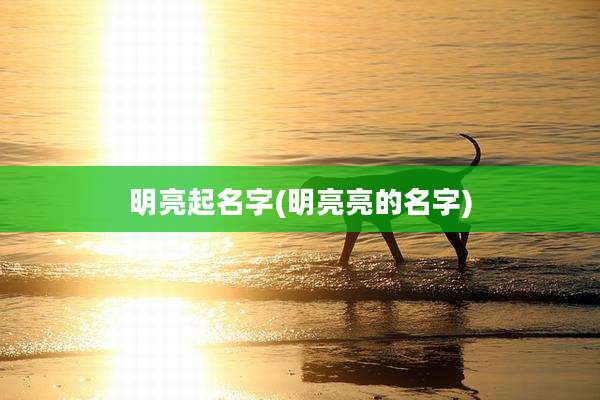 明亮起名字(明亮亮的名字)