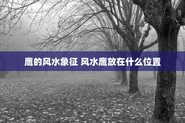 鹰的风水象征 风水鹰放在什么位置