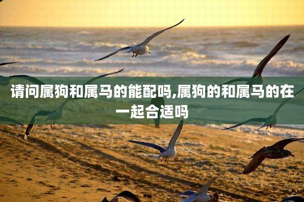 请问属狗和属马的能配吗,属狗的和属马的在一起合适吗