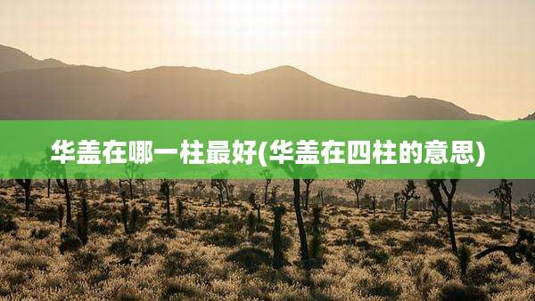 华盖在哪一柱最好(华盖在四柱的意思)